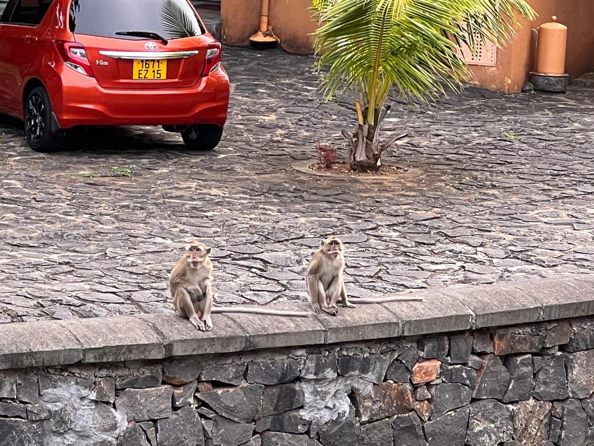 Villa In Port Chambly ,Mauritius Terre Rouge  Luaran gambar